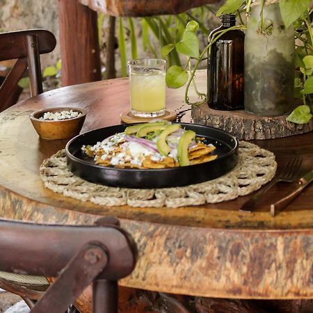 Anand Ecoaldea Villa Puerto Morelos Dış mekan fotoğraf