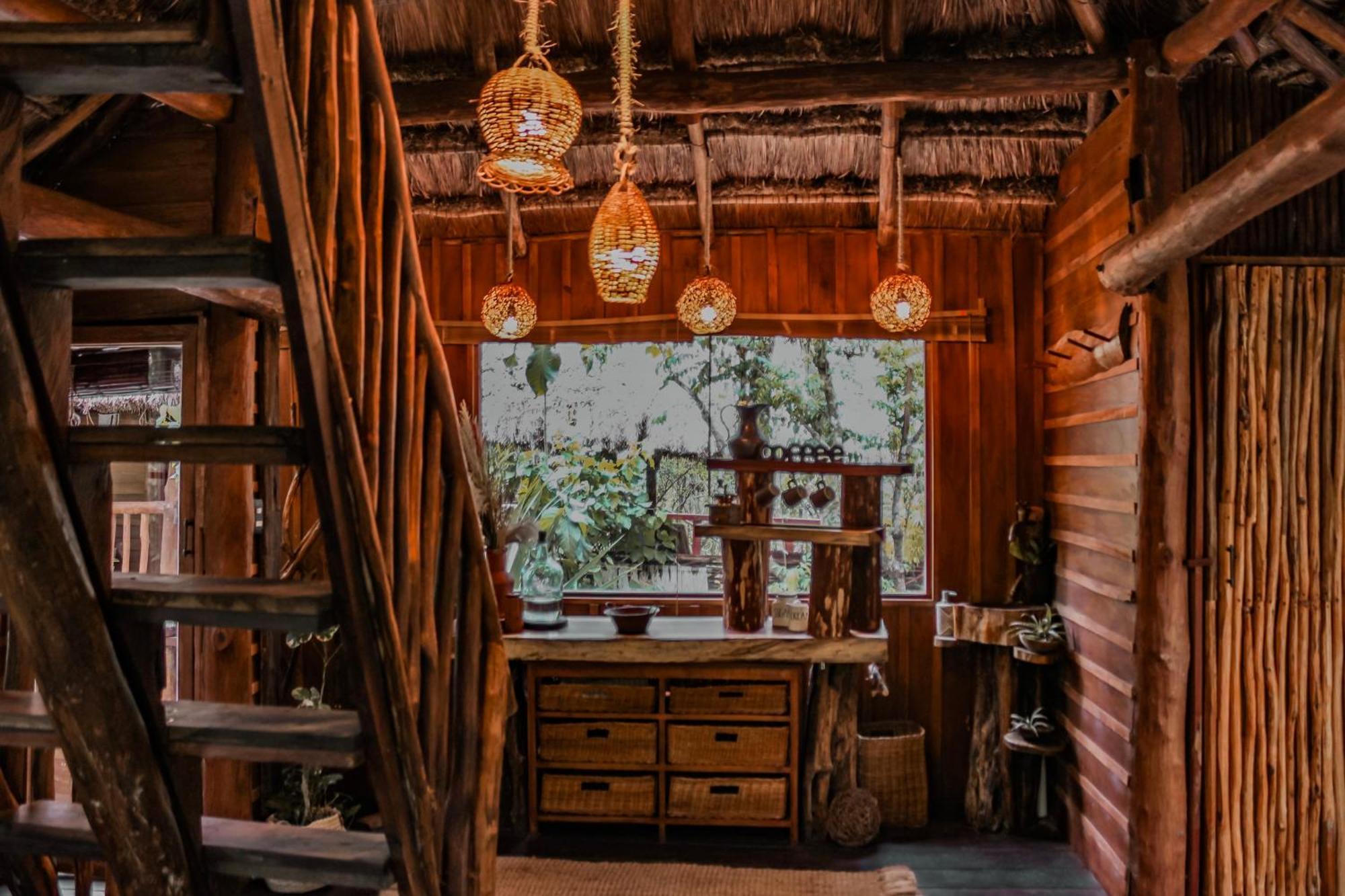 Anand Ecoaldea Villa Puerto Morelos Oda fotoğraf