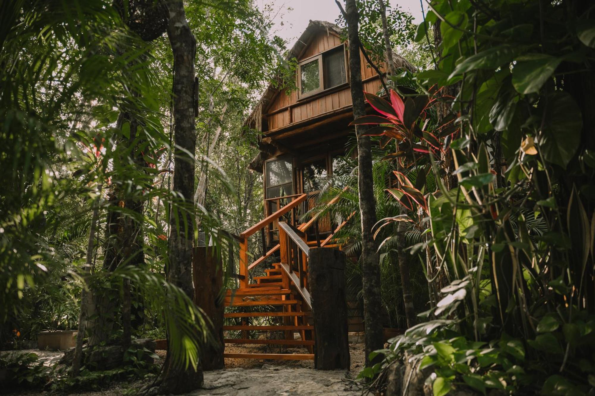 Anand Ecoaldea Villa Puerto Morelos Dış mekan fotoğraf