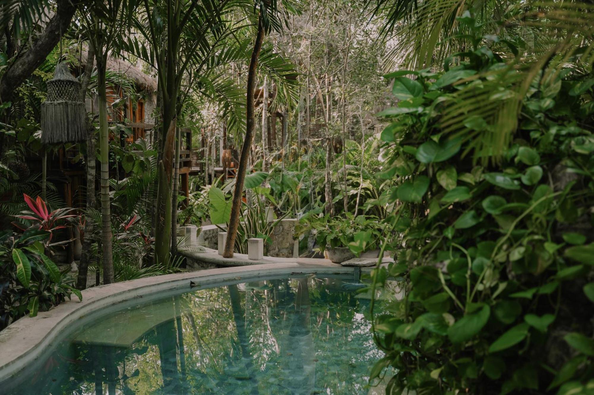 Anand Ecoaldea Villa Puerto Morelos Dış mekan fotoğraf